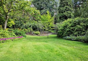 Optimiser l'expérience du jardin à Vernais